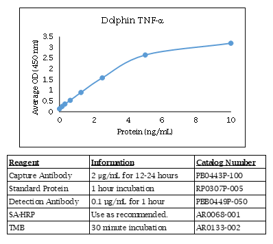 Dolphin TNF-α Standard Curve