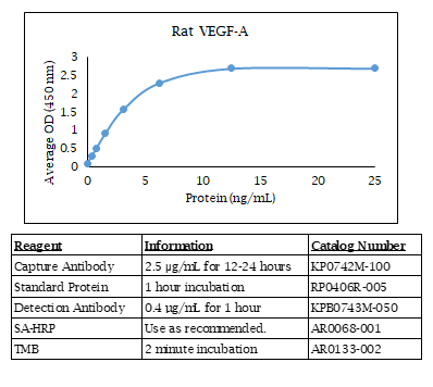 Rat VEGF-A Standard Curve