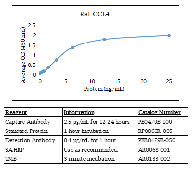 Rat CCL4 Standard Curve