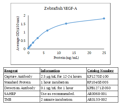 Zebrafish VEGF-A Standard Curve