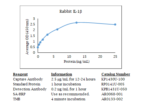 Rabbit IL-1β Standard Curve