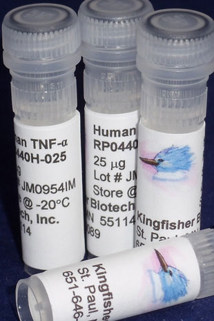 Human TNF alpha (Yeast-derived Recombinant Protein) - 25 micrograms