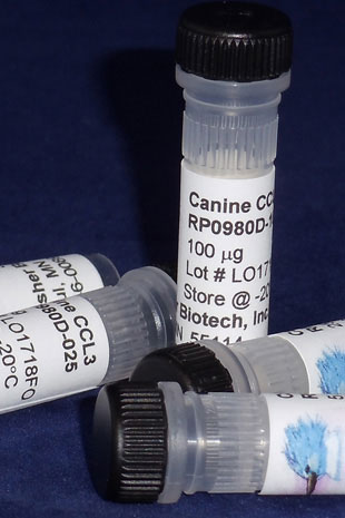 Canine CCL3 (MIP-1 alpha) (Yeast-derived Recombinant Protein) - 500 ug (5 x 100 ug vials)