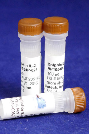 Dolphin IL-2 (Yeast-derived Recombinant Protein) - 500 ug (5 x 100 ug vials)