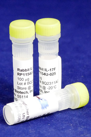 Rabbit IL-17F (Yeast-derived Recombinant Protein) - 500 ug (5 x 100 ug vials)