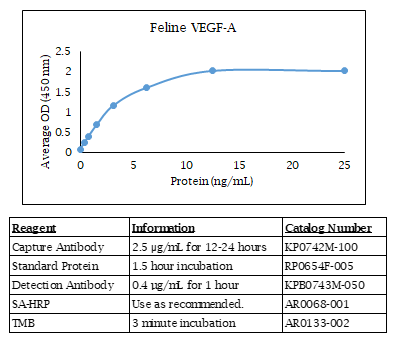 Feline VEGF-A Standard Curve