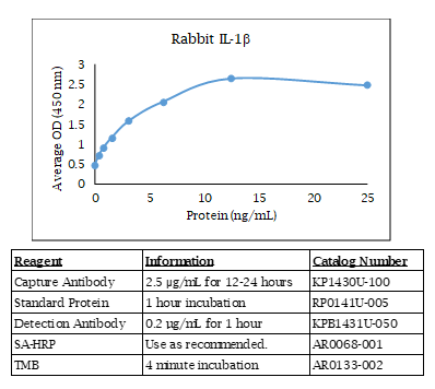 Rabbit IL-1β Standard Curve