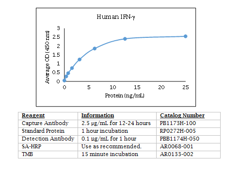 Human IFN gamma Standard Curve