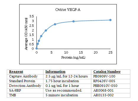 Ovine VEGF-A Standard Curve
