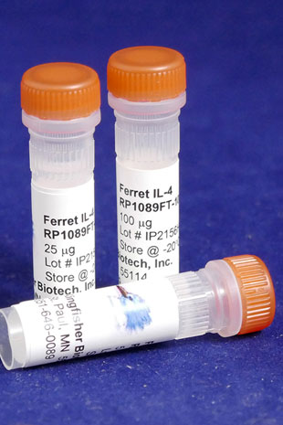 Ferret IL-4 (Yeast-derived Recombinant Protein) - 500 ug (5 x 100 ug vials)