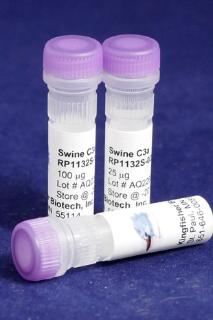 Swine C3a (Yeast-derived Recombinant Protein) - 100 micrograms